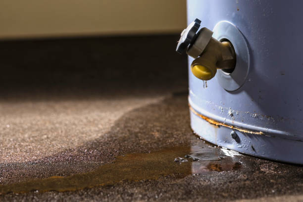 Best Flood restoration services  in Sugar City, ID