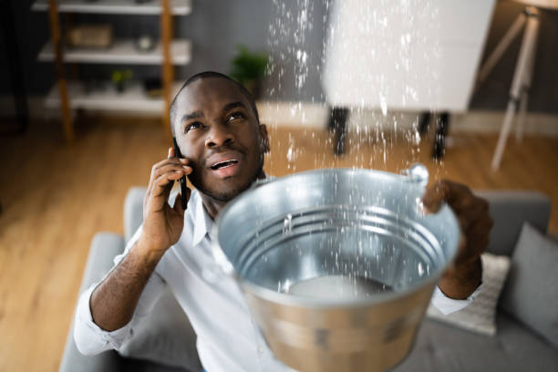 Best Water damage restoration cost  in Sugar City, ID