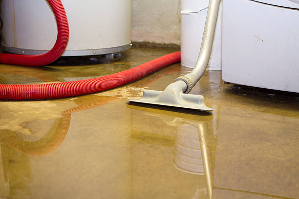 Best Basement water damage restoration  in Sugar City, ID