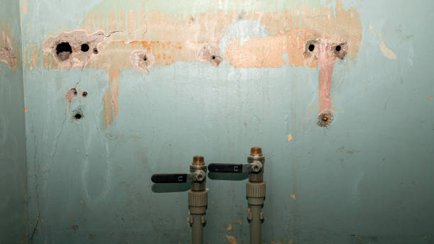 Best Flood damage cleanup  in Sugar City, ID